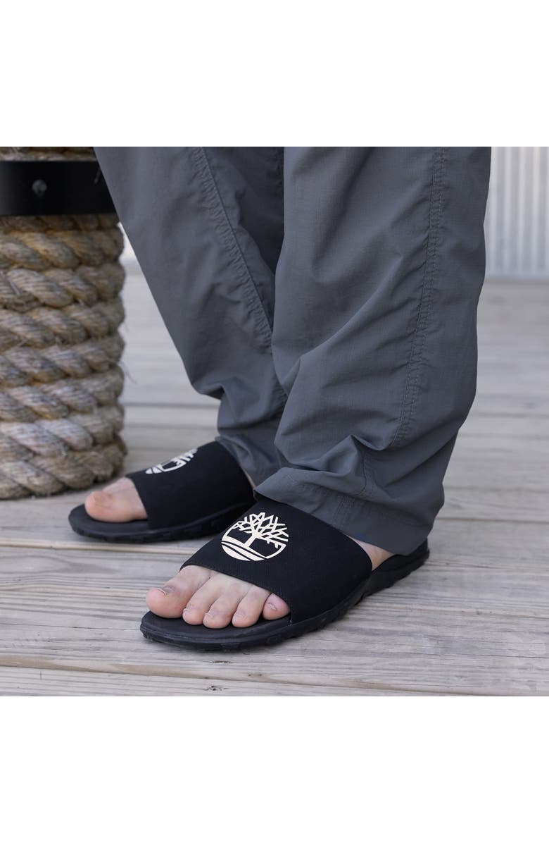 Timberland Fells Slide Sandal, Alternate, color,
