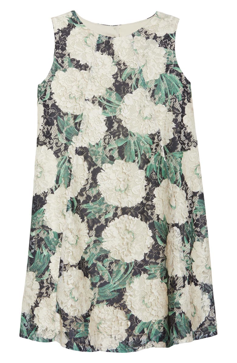 Gabby Skye Print Lace Trapeze Dress, Alternate, color, 