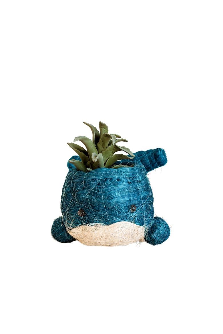 Aquatic Animal Coco Coir Planters, Alternate, color, Aqua