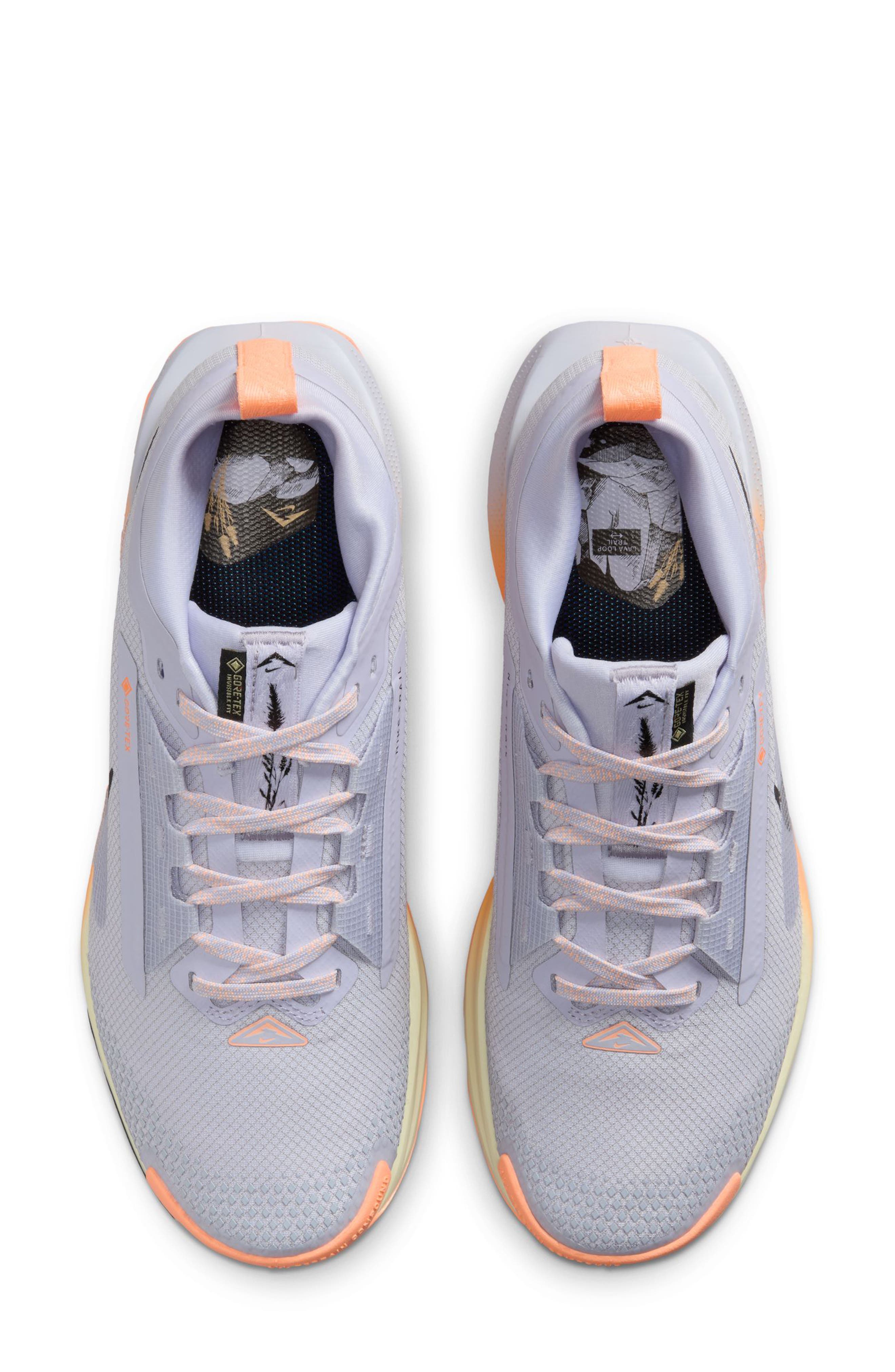 Nike Pegasus Trail 5 Gore-Tex<sup>®</sup> Waterproof Running Shoe, Alternate, color, 011 Ghost/Black