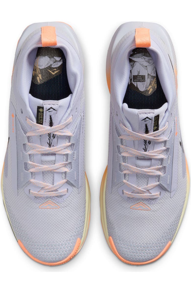 Nike Pegasus Trail 5 Gore-Tex<sup>®</sup> Waterproof Running Shoe, Alternate, color, 011 Ghost/Black