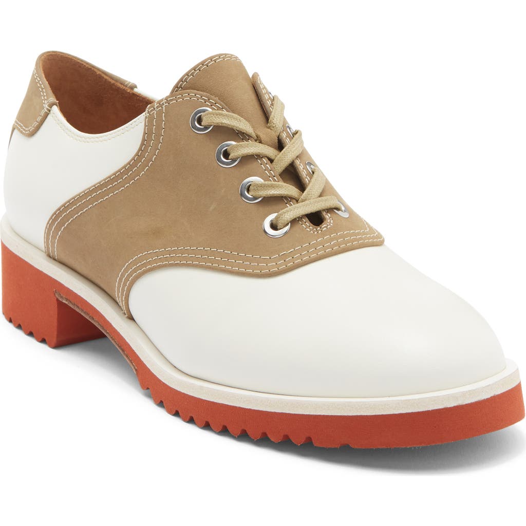 Labucq Saddle Shoe In White