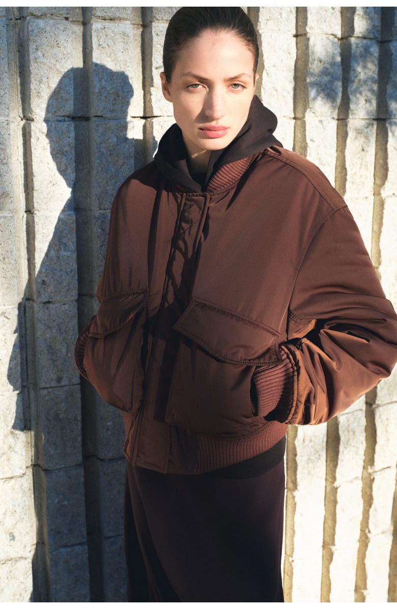 H&M Padded Bomber Jacket, Alternate, color, Dark Brown