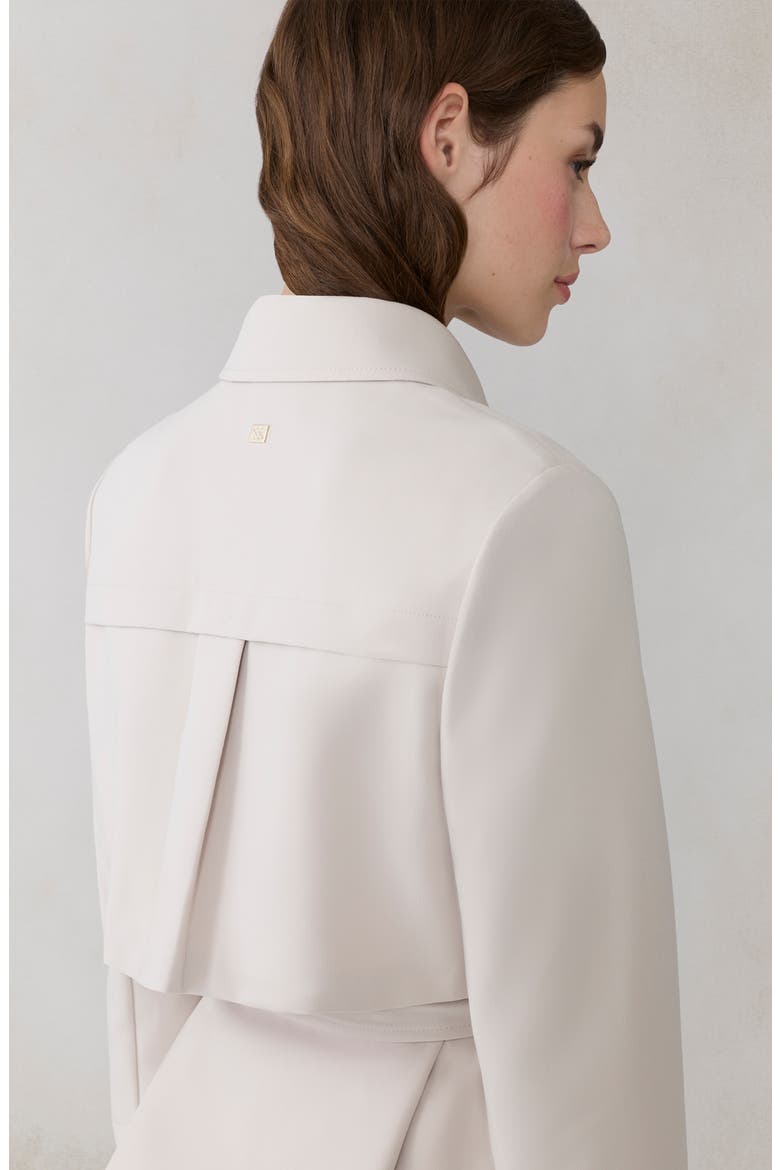 Haisley Short Trench Coat, Alternate, color, LIGHT OAK