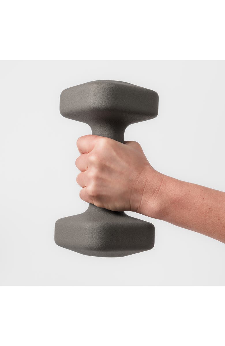 WeGym SafeGrip Dumbbells Full Set - 2 - 20 lbs, Alternate, color, Slate