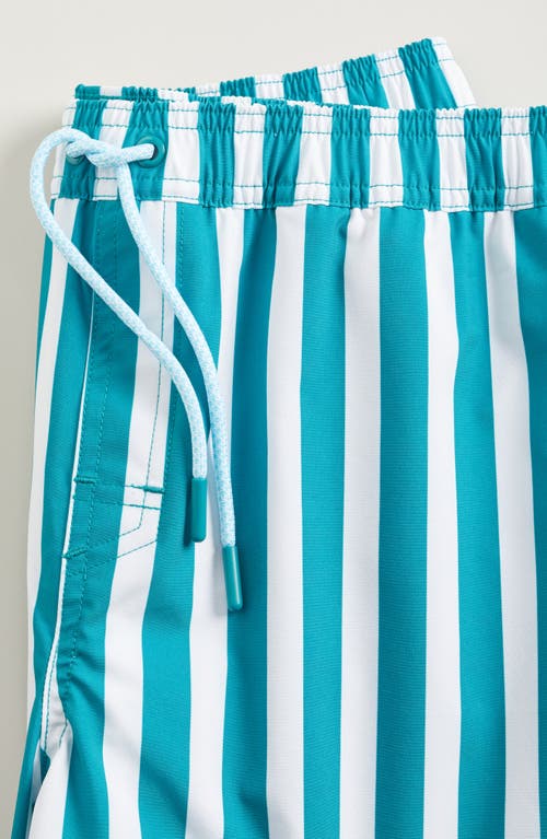 Nordstrom Kids' Volley Swim Trunks In Multi