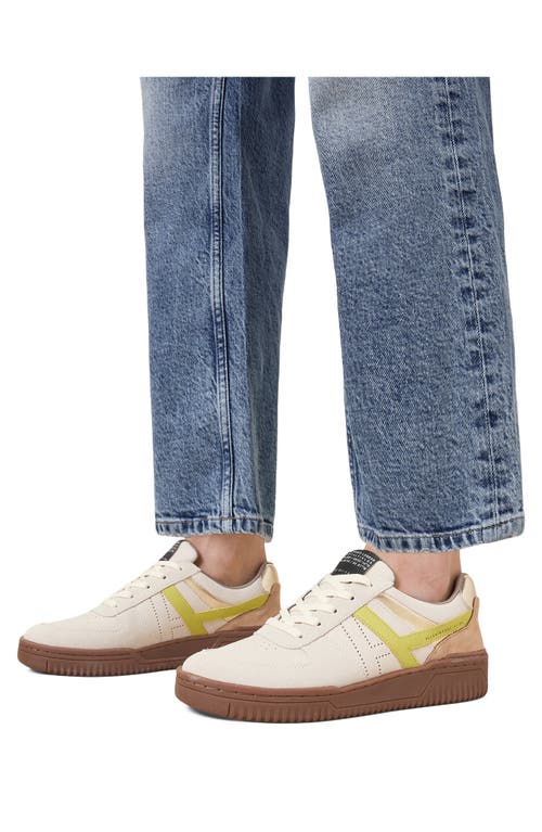 Allsaints Suede Vix Sneakers In White/brown/green