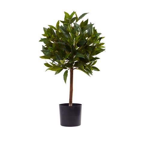 2-ft Sweet Bay Mini Ball Topiary