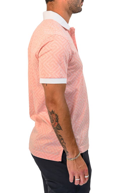 Maceoo Mozartdiagonaltip Peach Cotton Polo In Pink