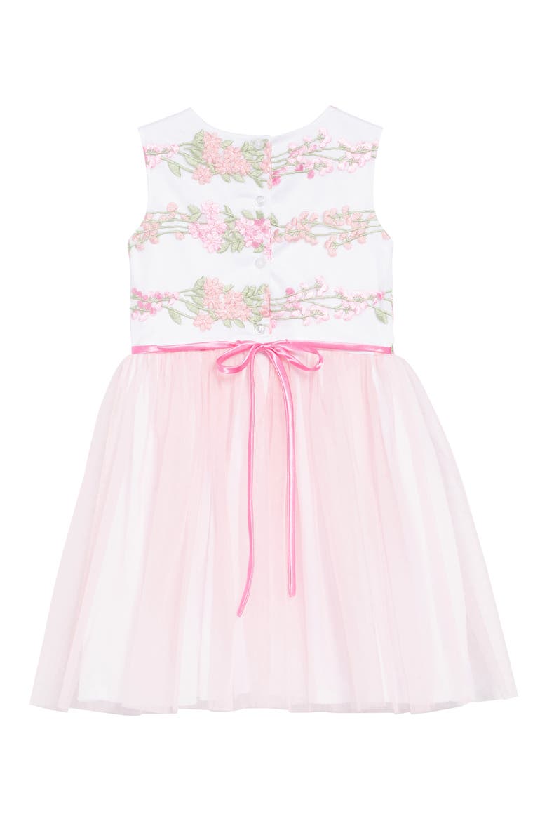 Embroidered Fit & Flare Dress, Alternate, color, LIGHT PINK