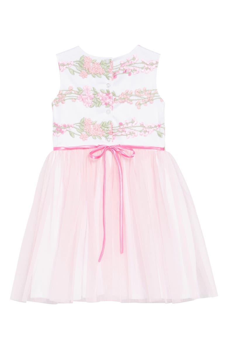 Frais Embroidered Fit & Flare Dress, Alternate, color,