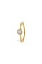  18K Yellow Gold/ Diamond