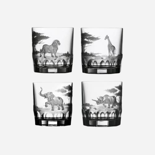 Varga Safari Tumbler Set Of 4 In Transparent