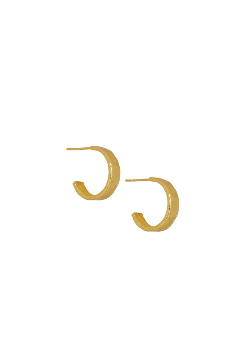 Dela Textured Hoop Earring, Main, color, Gold