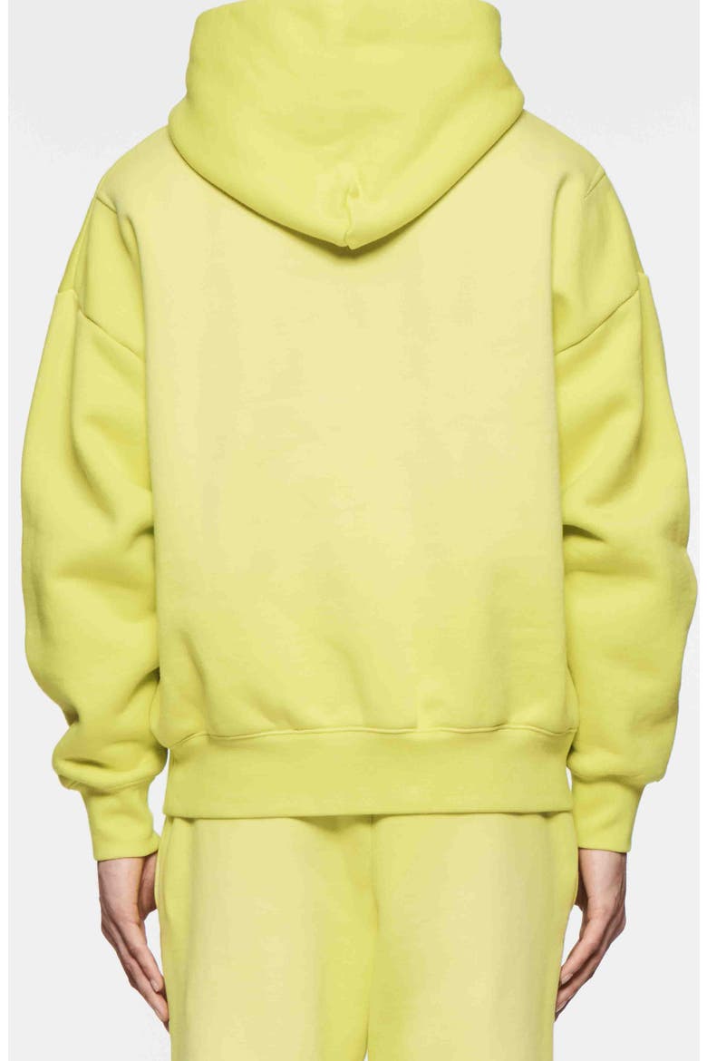 Cotton Fleece Graphic Hoodie, Alternate, color, GREEN