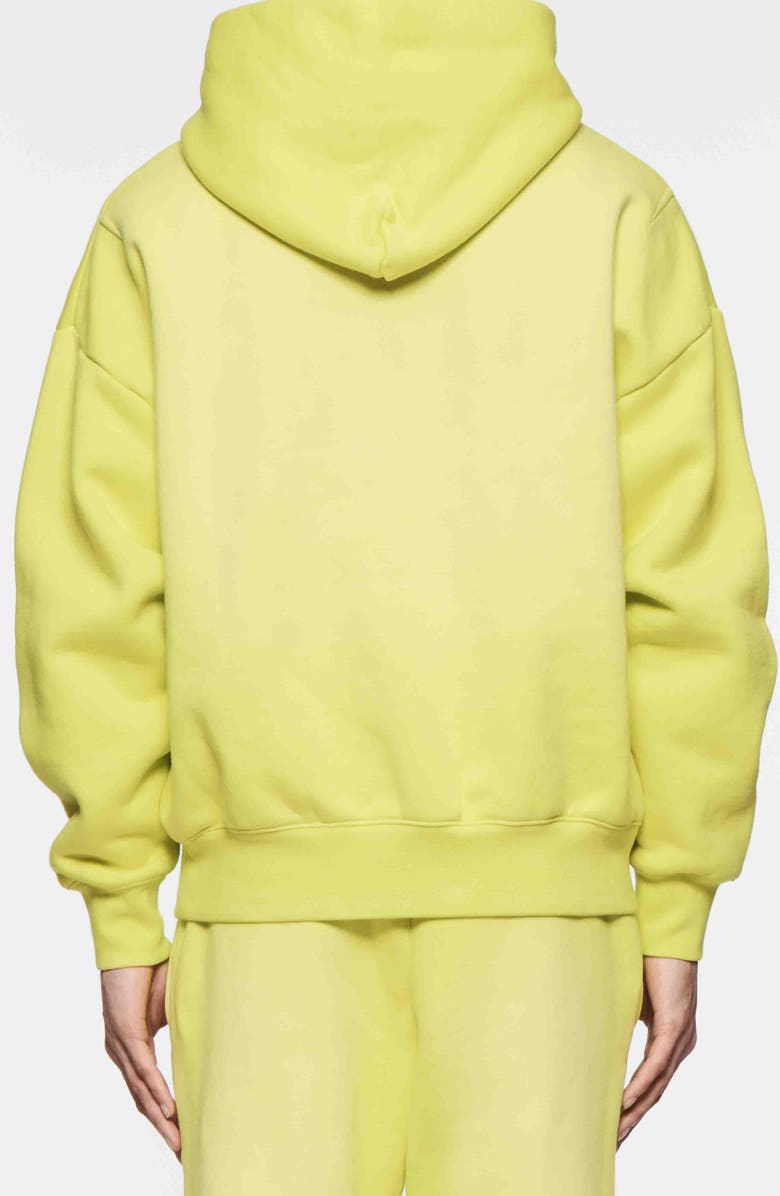 PURPLE BRAND Cotton Fleece Graphic Hoodie, Alternate, color, Green