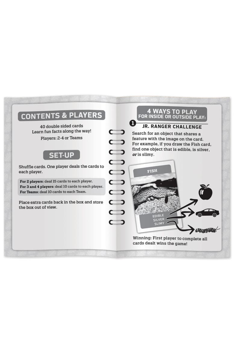 Jr Ranger - Scavenger Hunt Card Game, Alternate, color, Multicolor