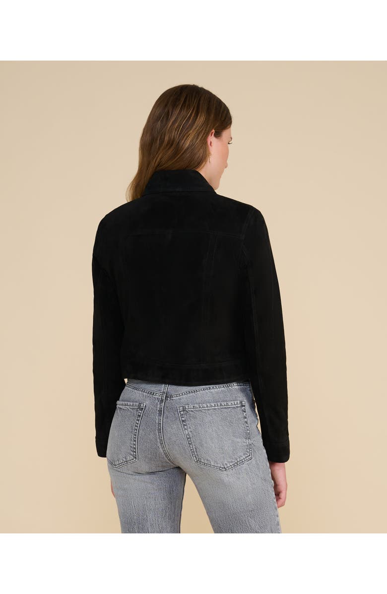 Furniq UK Isabella Suede Jacket, Alternate, color, Black