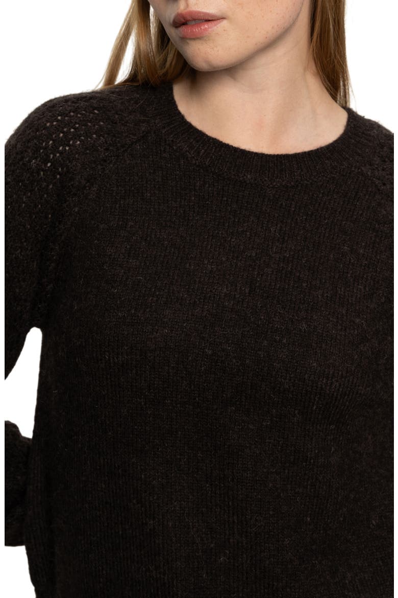 Cozy Moment Pointelle Sleeve Detail Sweater, Alternate, color, SEMI SWEET