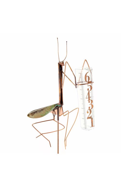 Haw Creek Forge Praying Mantis Rain Gauge In Brown
