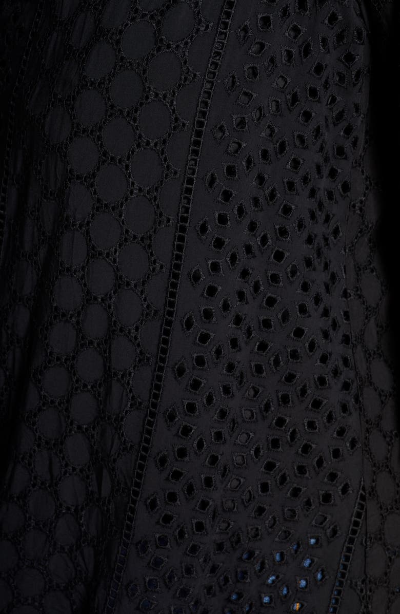 DR2 by Daniel Rainn Daniel Rainn Eyelet Tie Neck Blouse, Alternate, color, 