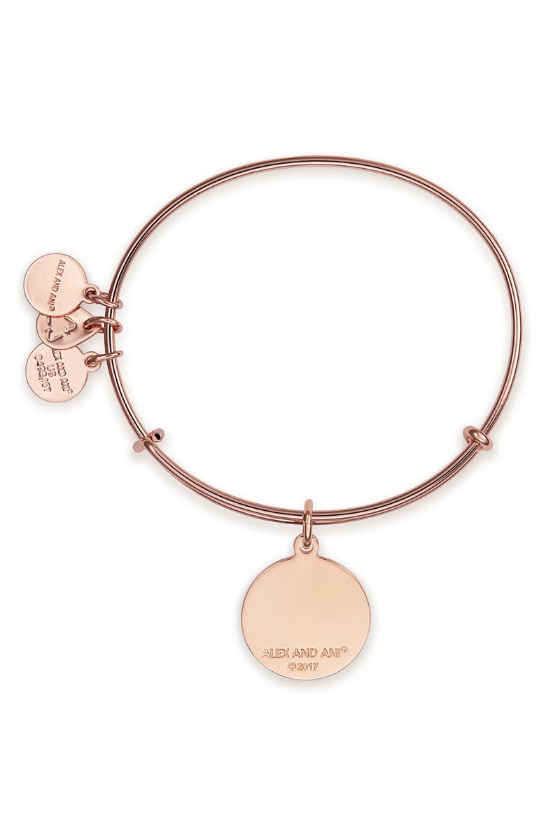 Alex and Ani Mind over Matter Expandable Charm Bangle, Alternate, color,