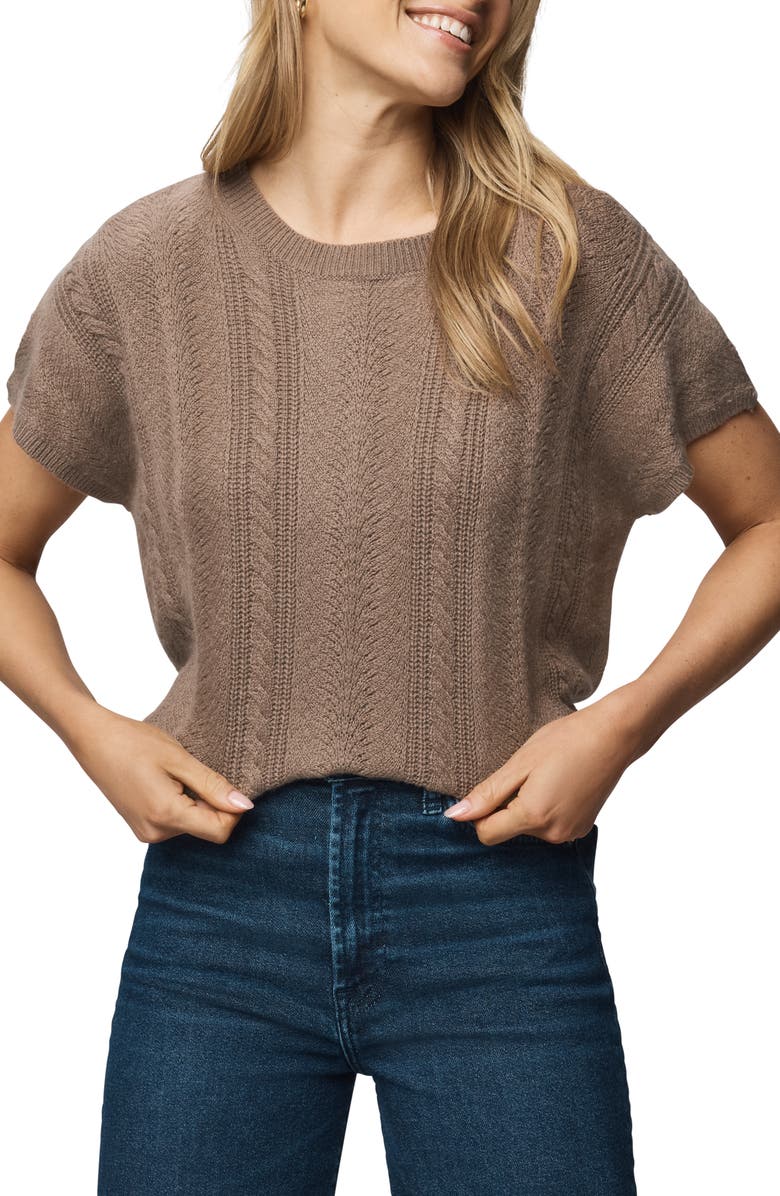Splendid Raelynn Short Sleeve Pointelle Sweater, Alternate, color, Cedar Brown