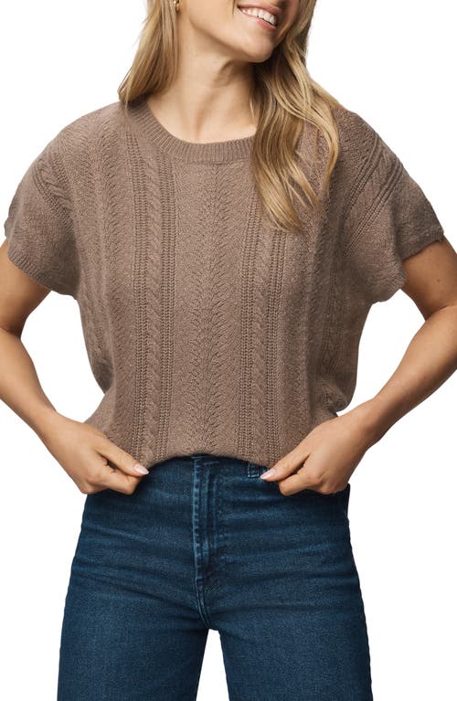 Splendid Raelynn Short Sleeve Pointelle Sweater In Brown