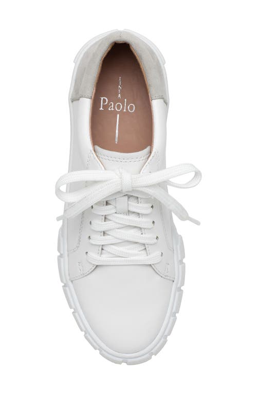 Linea Paolo Kenzi Platform Sneaker In Eggshell/off White