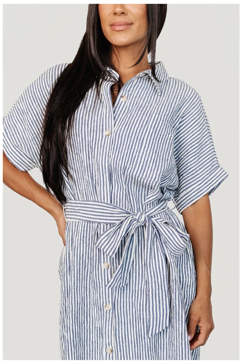 Nautical Shirt Dress, Alternate, color, Blue Stripe