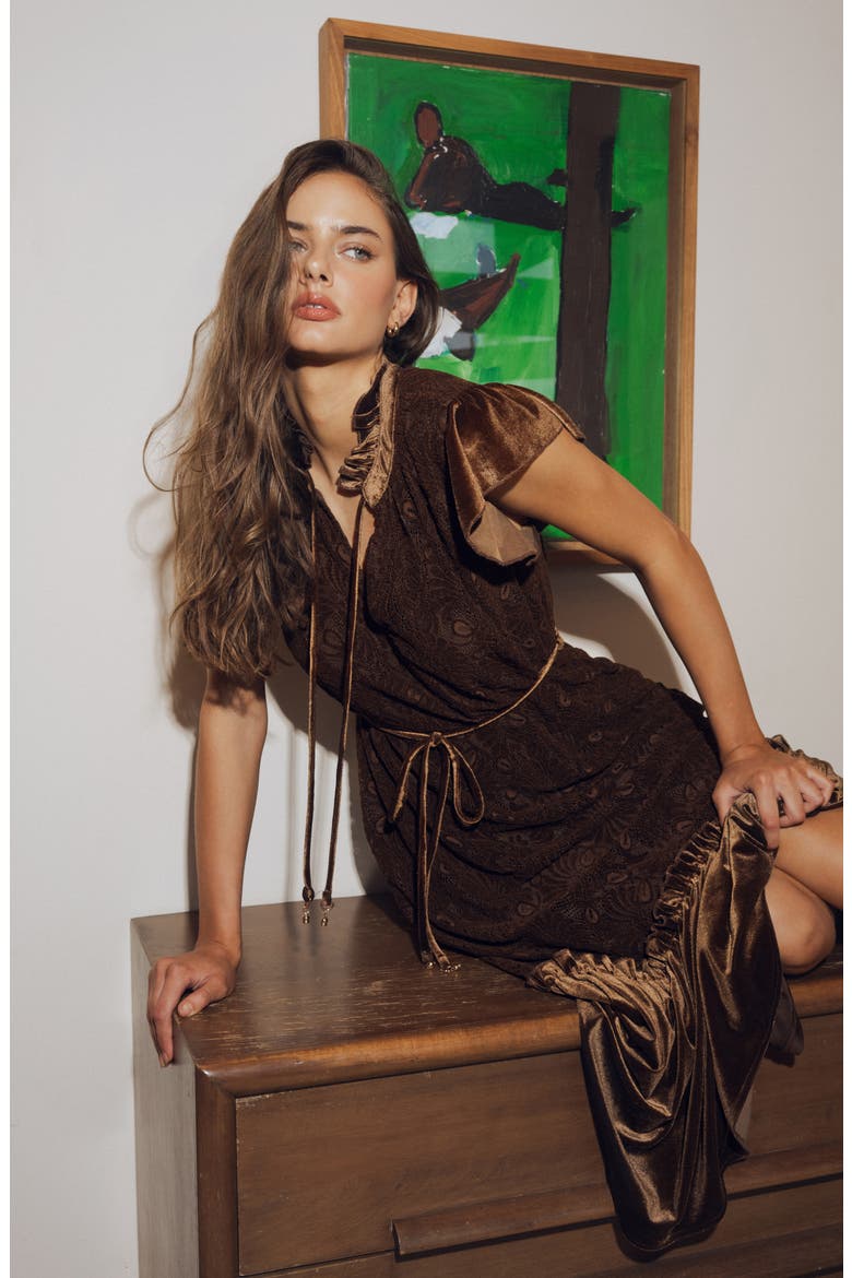 Hilma Velvet Trim Lace Maxi Dress, Alternate, color, BROWN