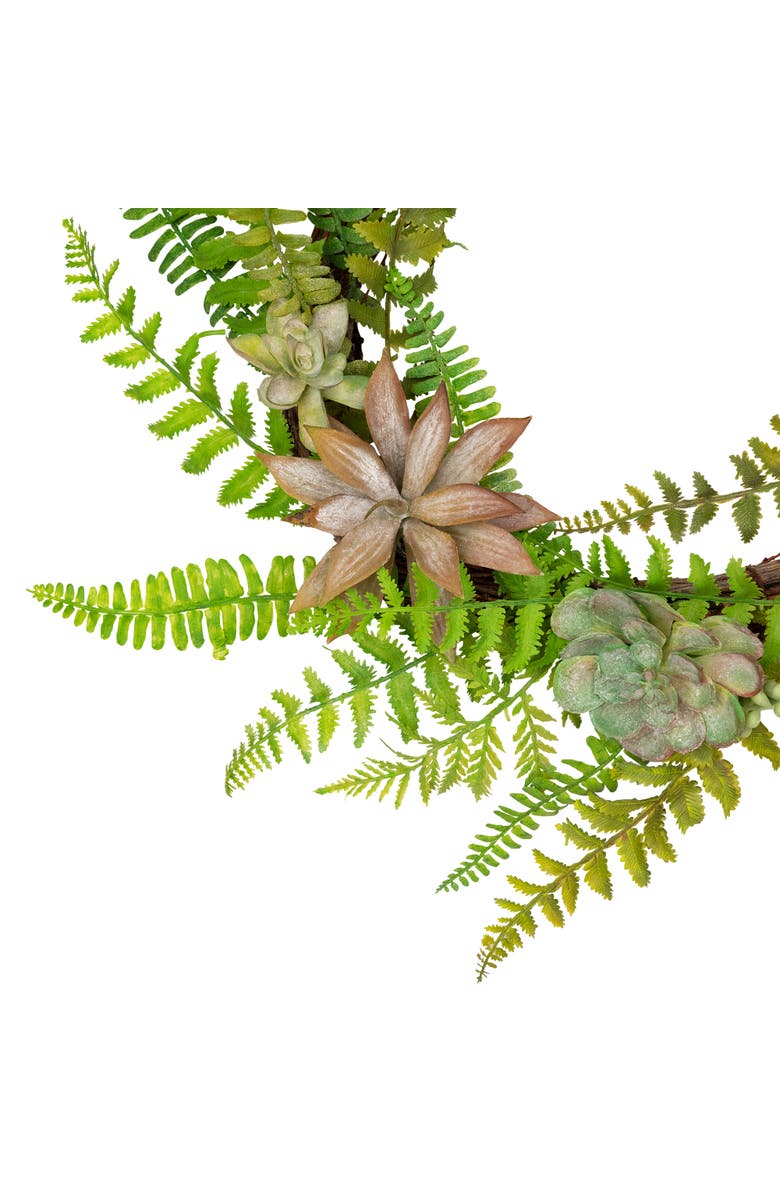 Northlight Succulents and Foliage Artificial Spring Twig Wreath, Green - 22-Inch, Alternate, color, Green