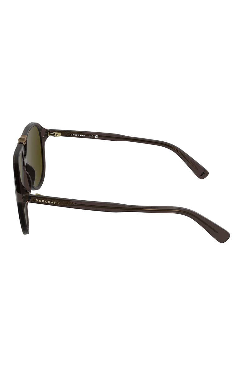 Roseau 58mm Aviator Sunglasses, Alternate, color, TRANSPARENT BROWN
