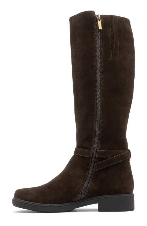 Abeo Compass Tall In Dark Brown - Regular