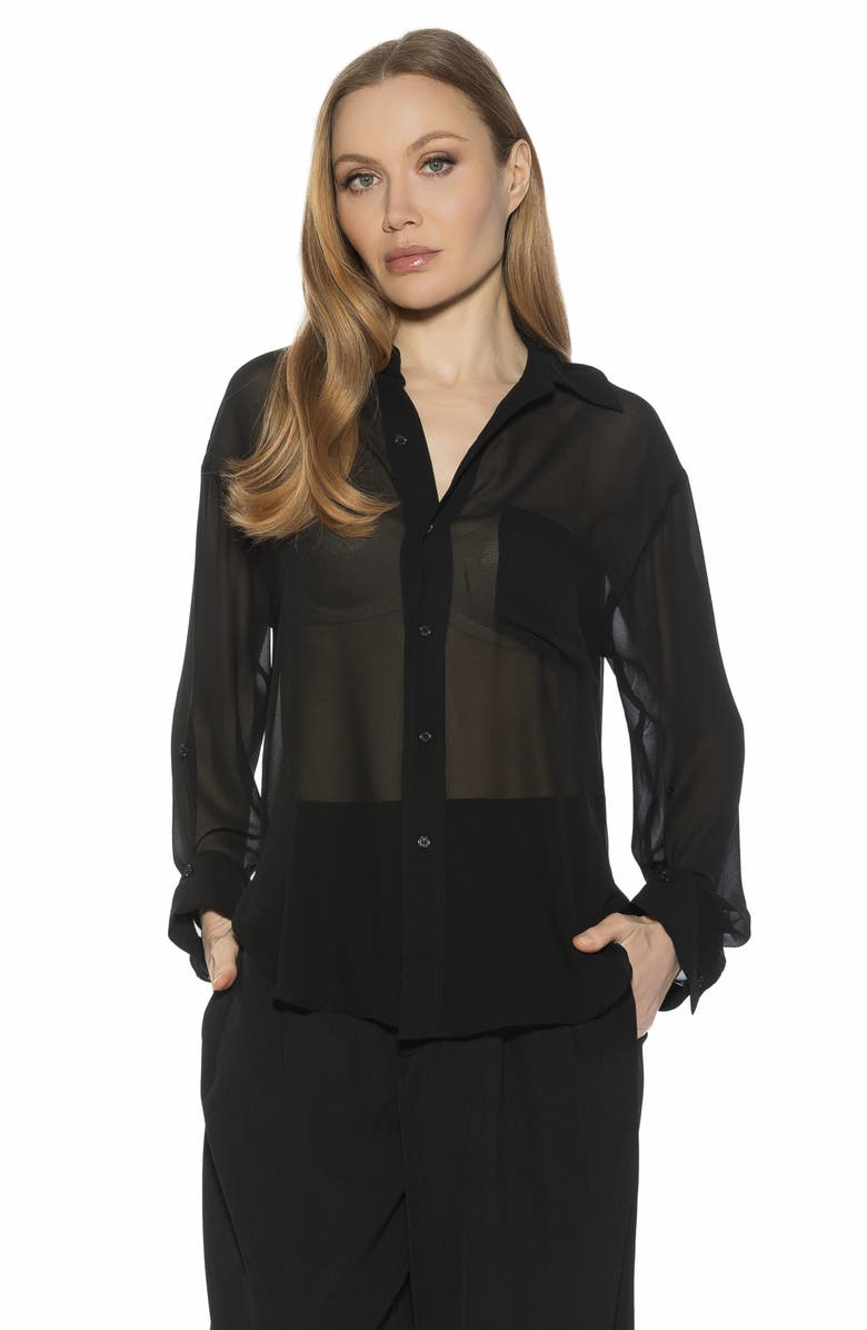 Alexia Admor Atticus Sheer Button Up Shirt, Alternate, color, 
