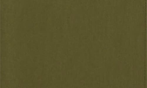 Ted Baker Box Pleat Tie Belt Cotton Maxi Shirtdress In Green