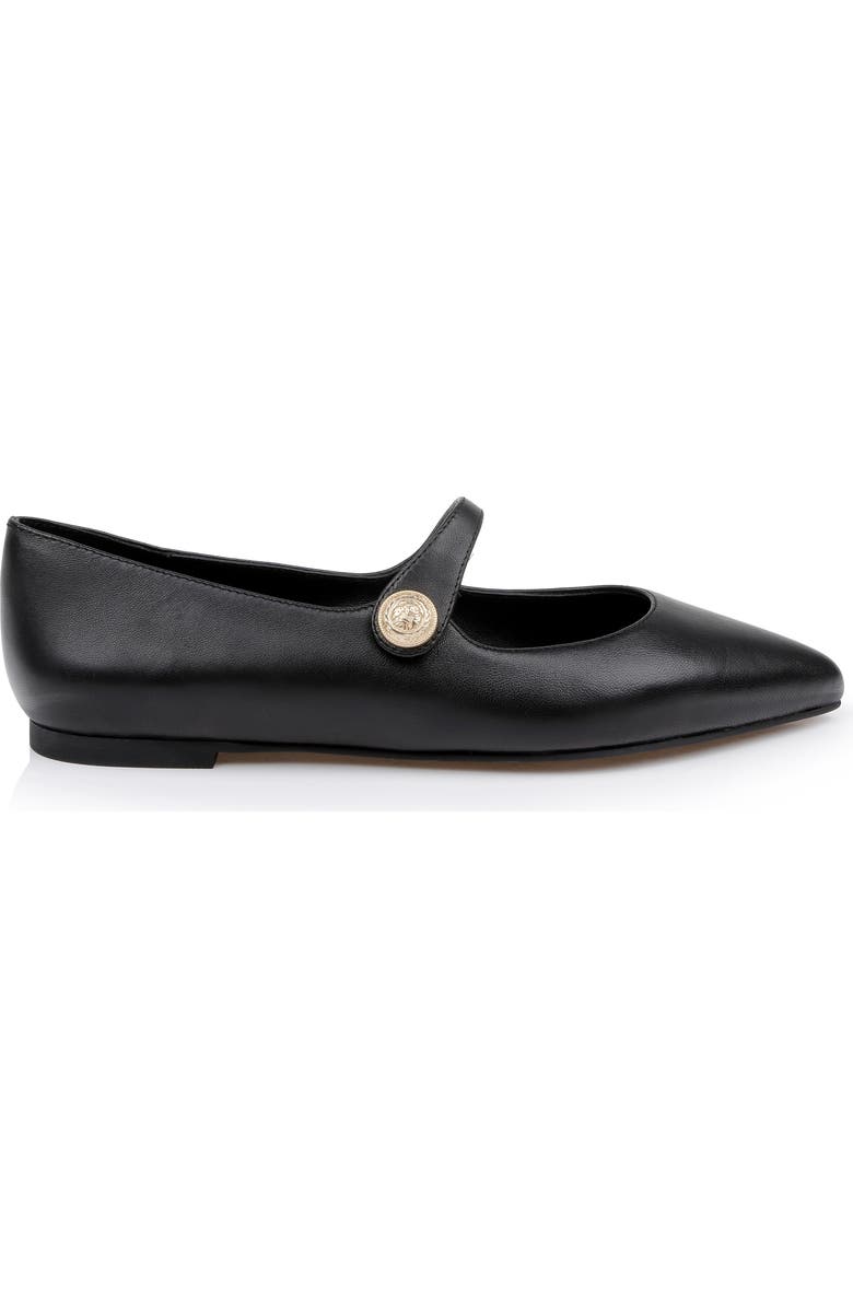 L'AGENCE Gersende Mary Jane Pointed Toe Flat, Alternate, color,