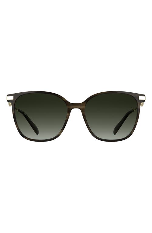 Longchamp Foulonn 55mm Gradient Modified Rectangular Sunglasses In Green