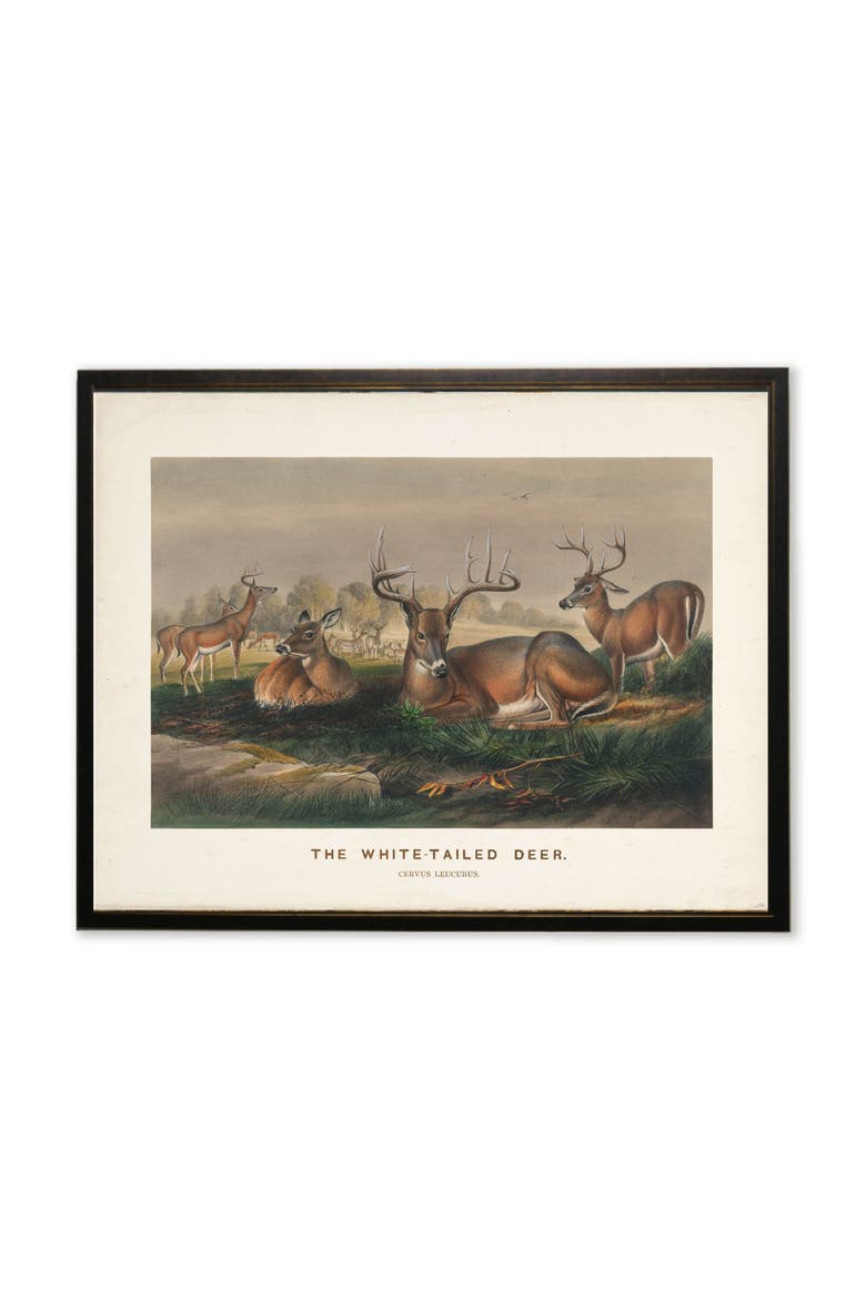 "The White-Tailed Deer" Scene in Copper and Black Frame, Main, color, Multi
