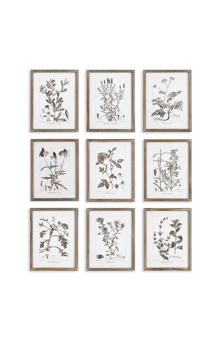Napa Home & Garden Rustic Foliage Study Set of 9, Main, color, 