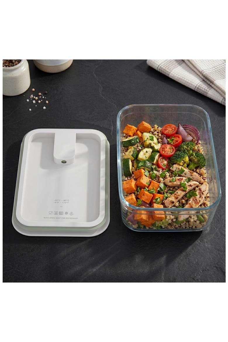 Leo Balance Perfect Seal Glass Food Container, Alternate, color, GREEN