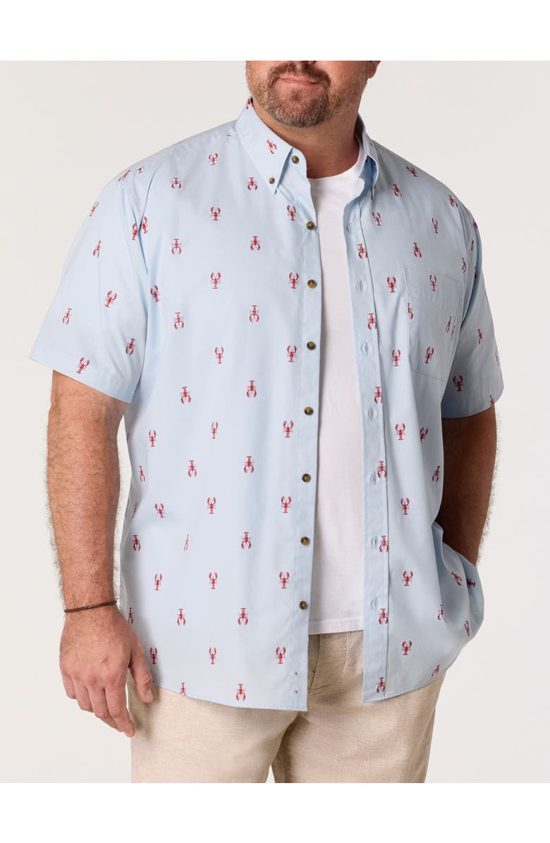 Harbor Bay by DXL Big & Tall Easy-Care Lobster Print Sport Shirt, Main, color, Blue Red
