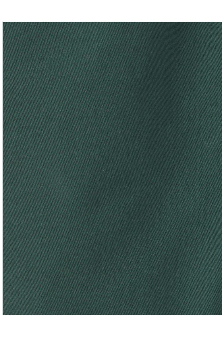 Kids' Organic Cotton Twill Pants, Alternate, color, GREEN
