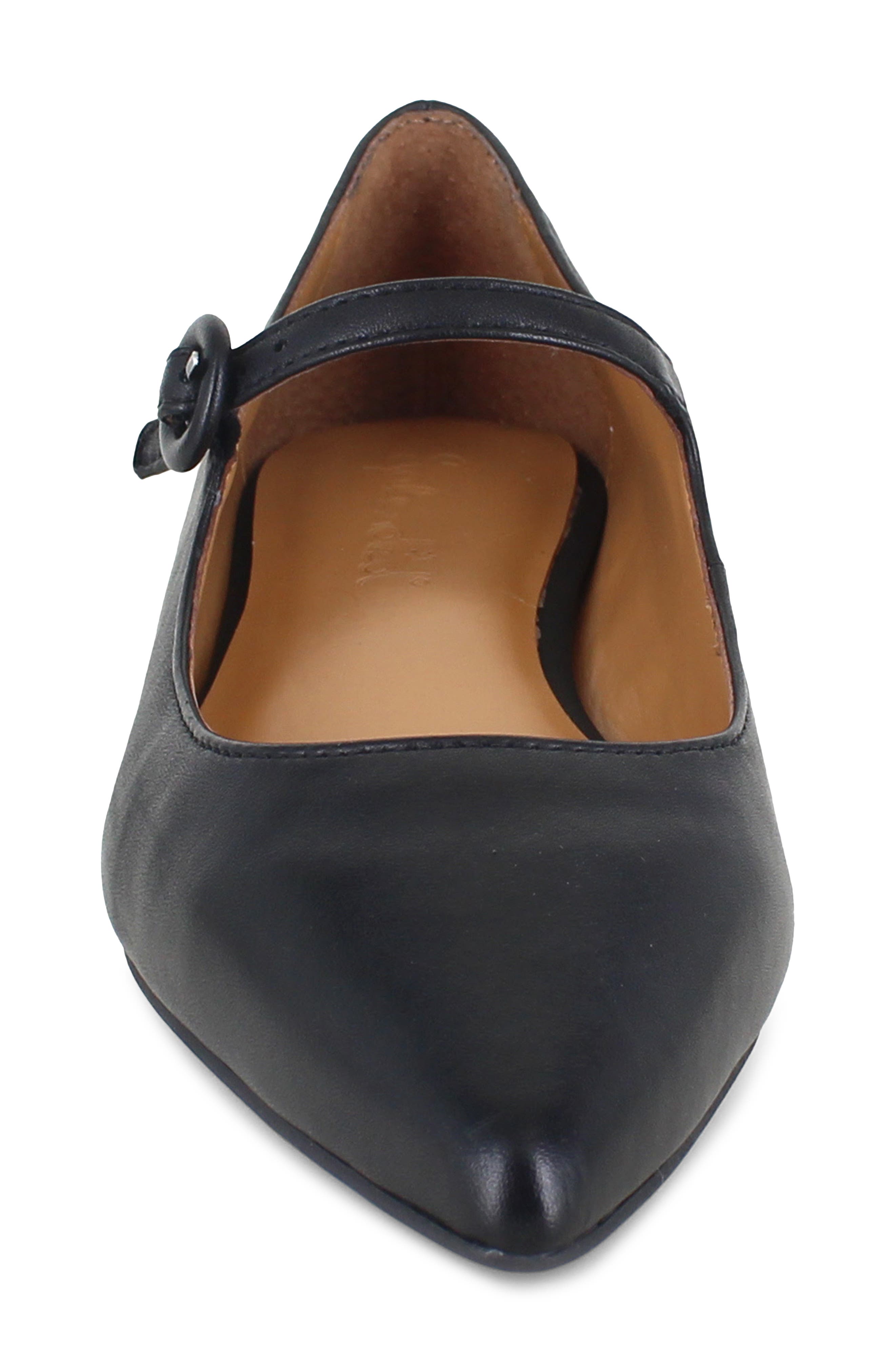 Mariana Pointed Toe Mary Jane Flat, Alternate, color, BLACK
