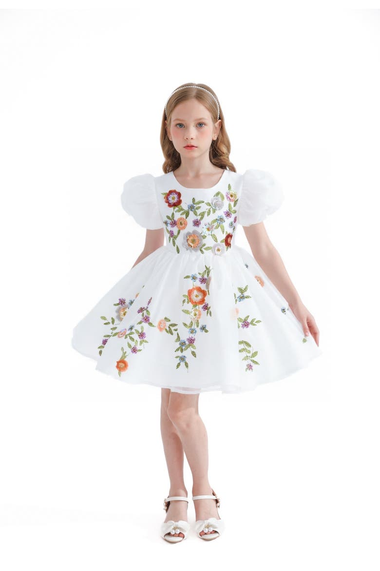 Embroidered Puff Sleeve Dress, Alternate, color, White