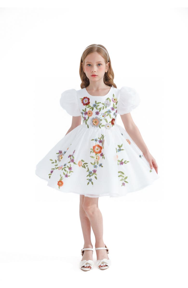 Tulleen Embroidered Puff Sleeve Dress, Alternate, color, White