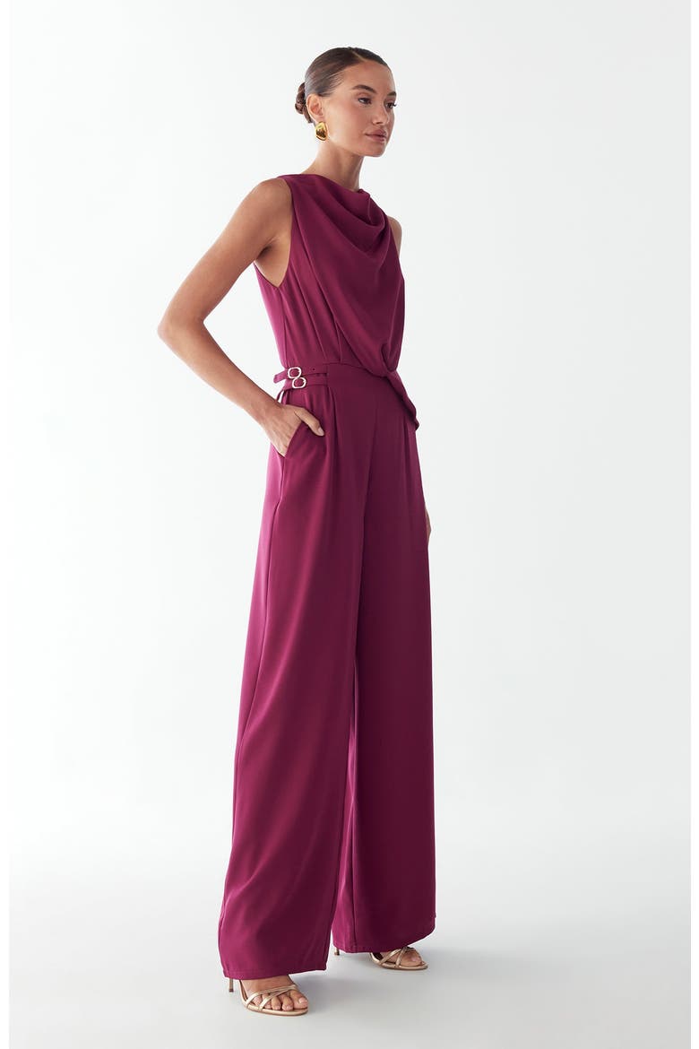 Dalia Jumpsuit, Alternate, color, Plum