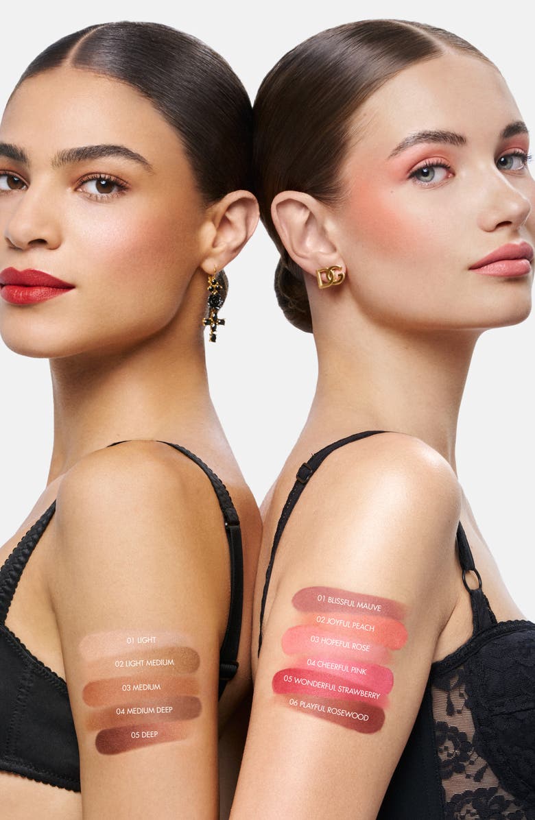 Dolce&Gabbana Cheeks & Eyes Match Lasting Blush & Eyeshadow Powder, Alternate, color, Blissful Mauve