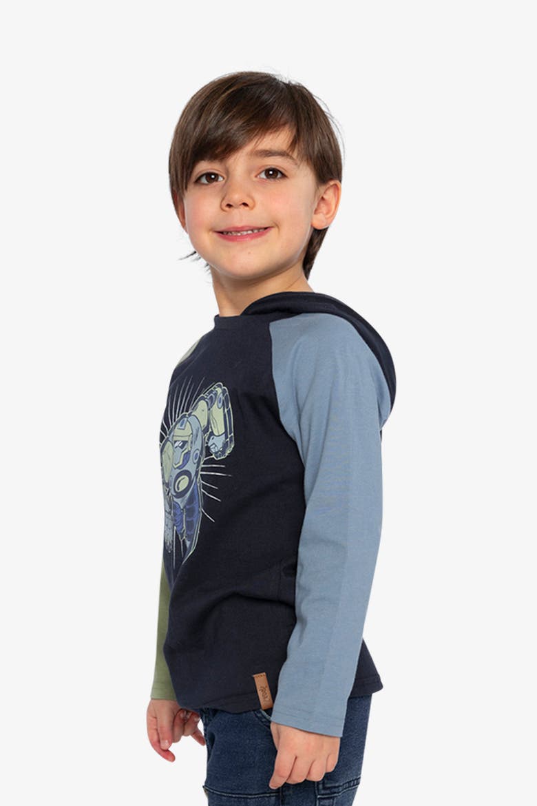 Raglan Hooded Cotton Graphic T-Shirt, Alternate, color, Dark Blue and Green