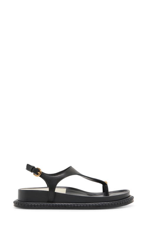 DOLCE VITA DOLCE VITA STEFAN SLINGBACK SANDAL